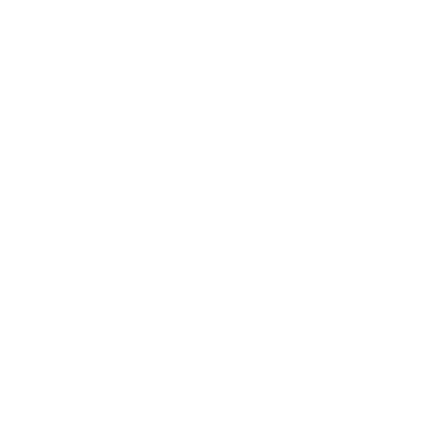 Bifacial & Transparent PV Panels