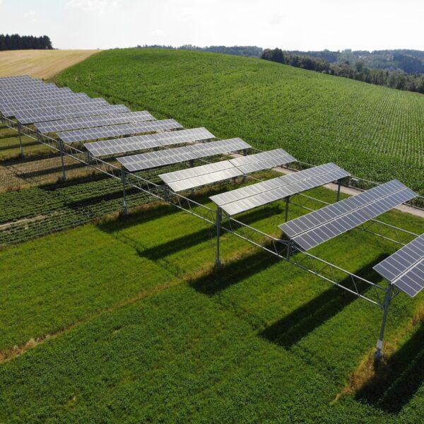 Agriculture & Rural Electrification